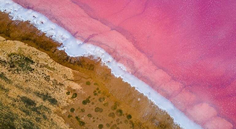 Mar de Sivash, Ucrania