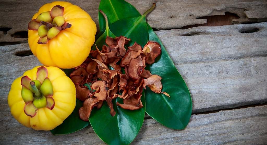 Garcinia