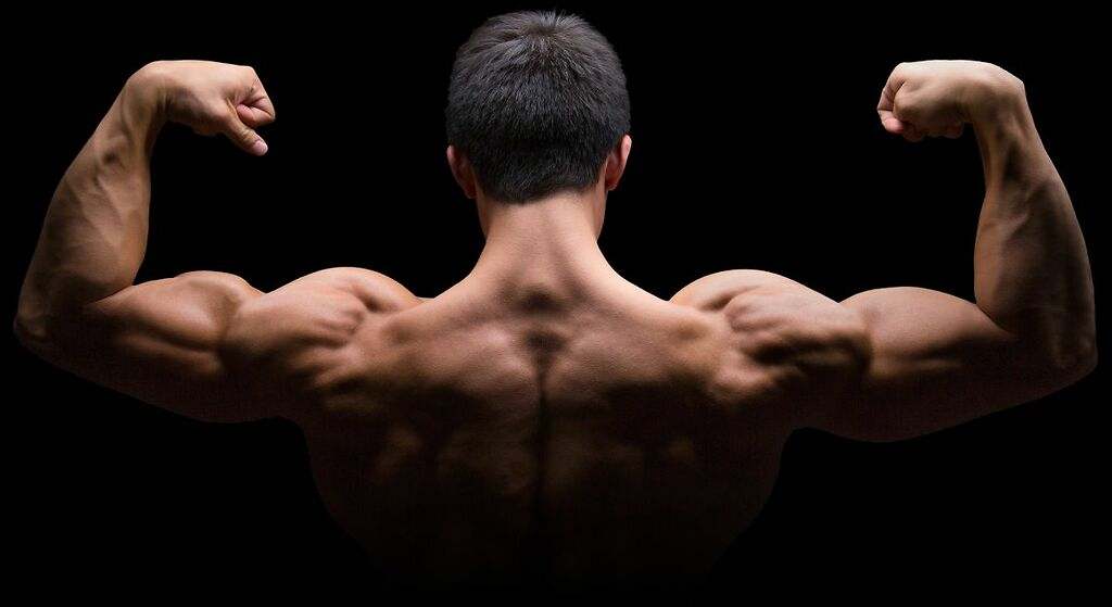 Da al cuerpo energía