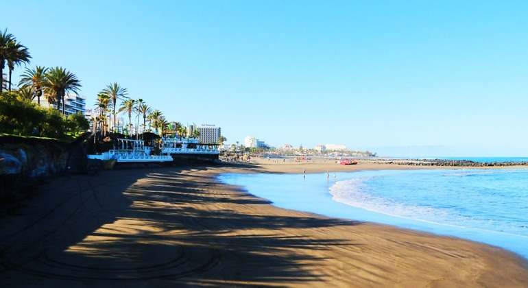 Playa de Troya con arenas oscuras y palmeras en el fondo