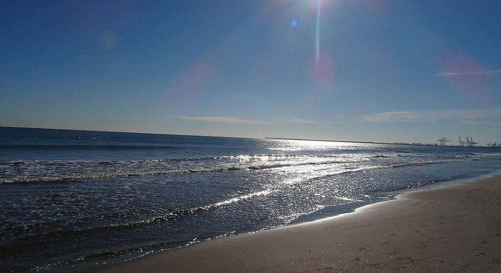 Playa canina de Alboraia
