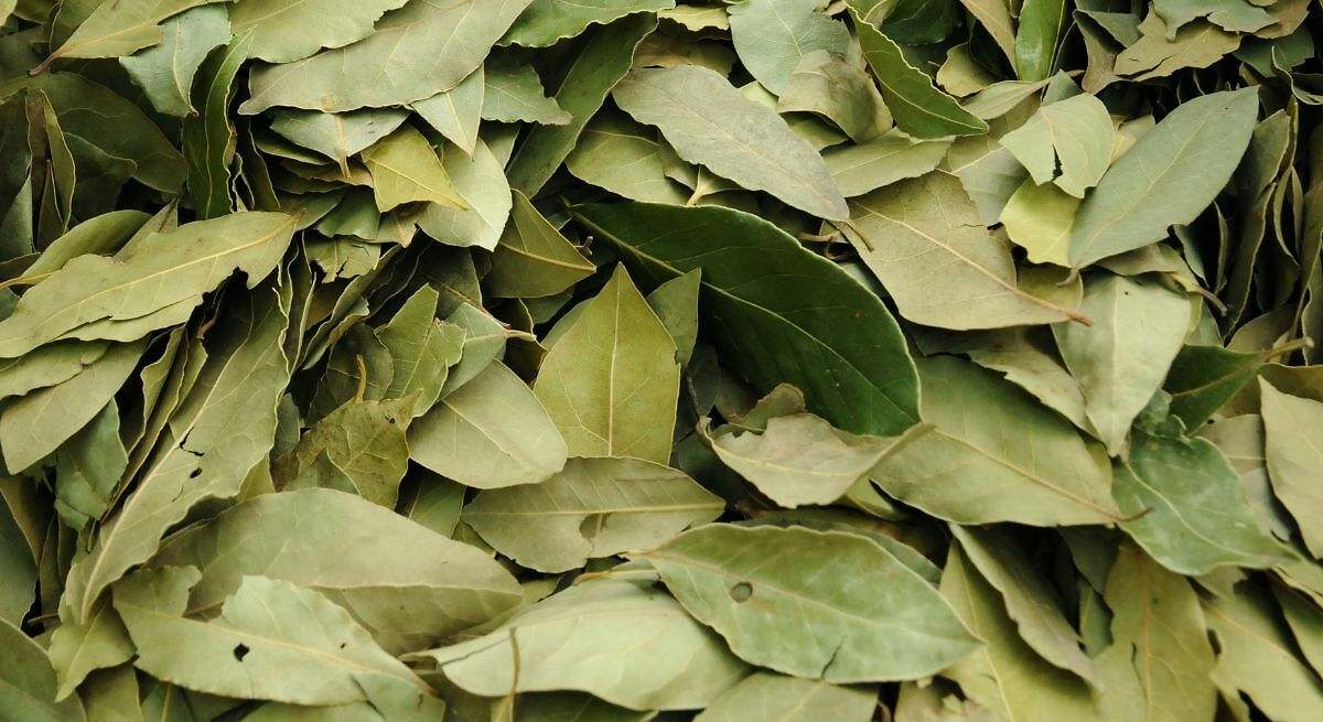 Más detalles