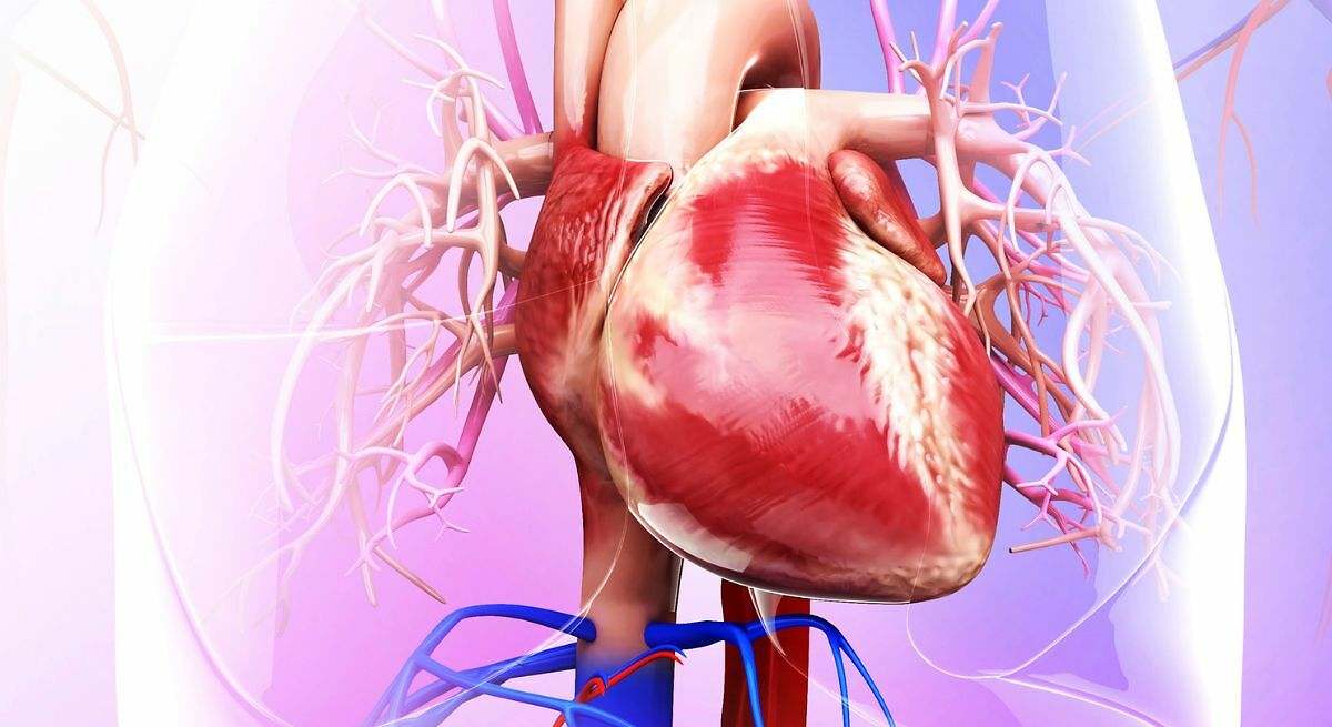 Reducción en el flujo sanguíneo hacia el corazón