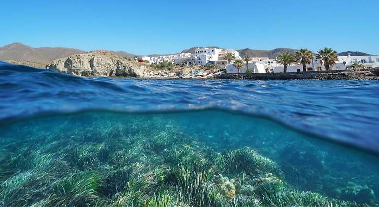 El pueblo de la isleta del moro y el mar en el que se muestra la flora y fauna propia de Cabo de Gata.