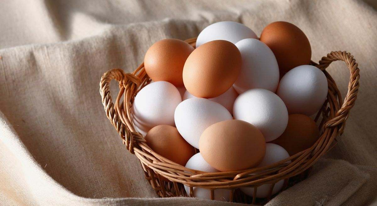 Huevos frescos