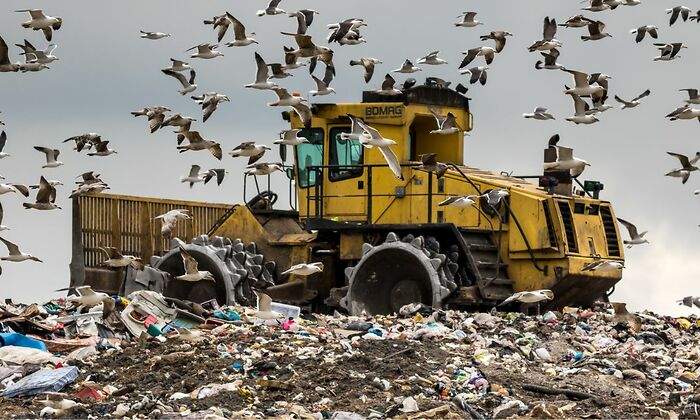 disco-basura-dreamtime.jpg