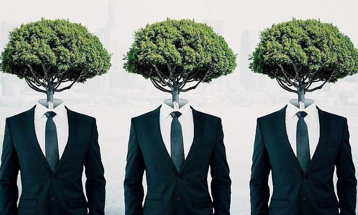 1200x655_arbol_senoros1220.jpg