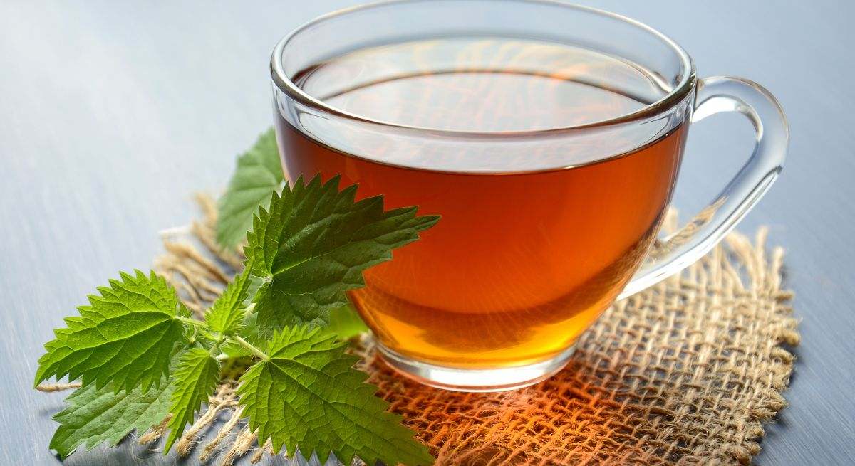Té de carqueja