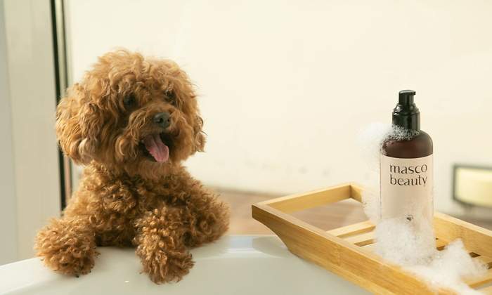 productos-perros-1200.jpg