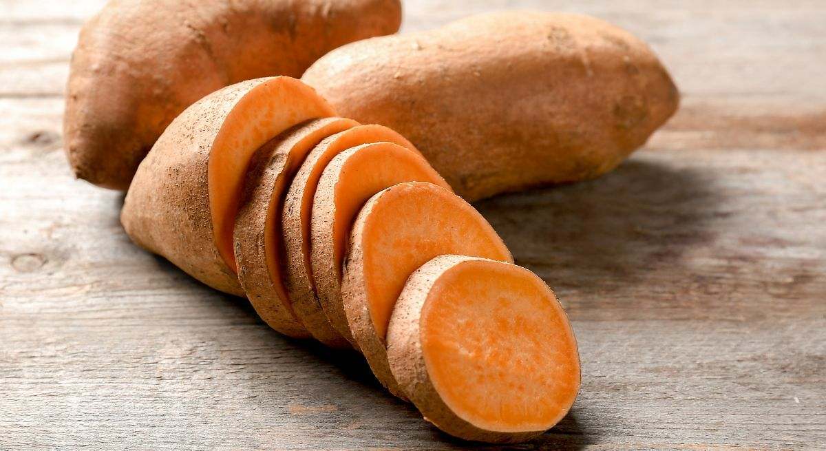 Boniato