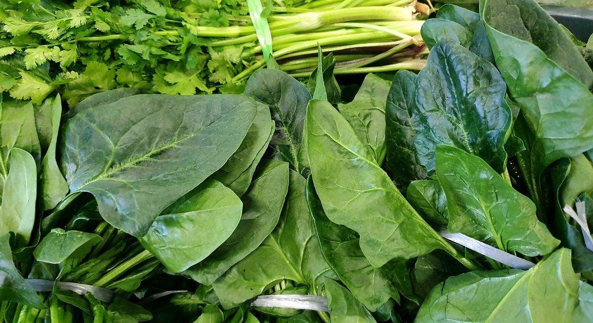 Verduras de hoja verde
