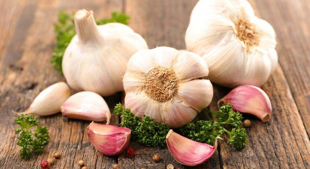 Ajo