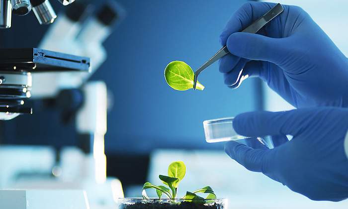 biotech1200x655.jpg