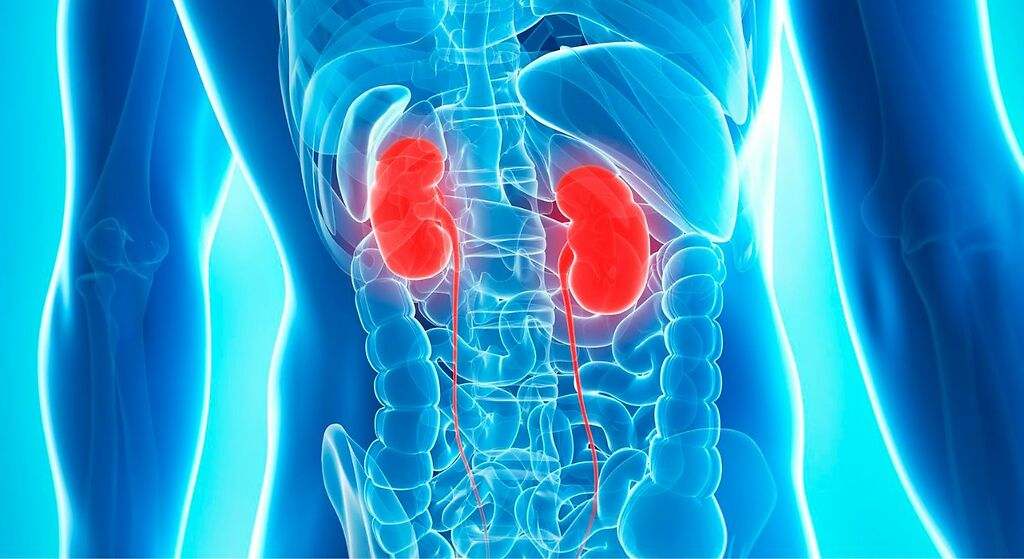 Mejora la función renal a largo plazo