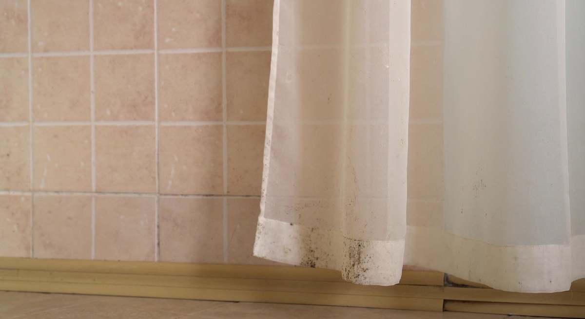 El remedio casero para limpiar la cortina de la ducha y eliminar por completo el moho acumulado