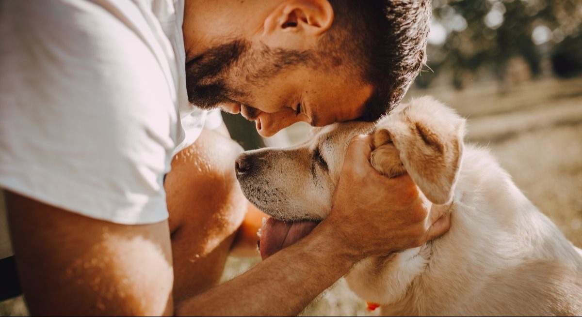 Veterinarios avisan a todos los que tengan perro: "Pueden ser letales si no se actúa con rapidez"