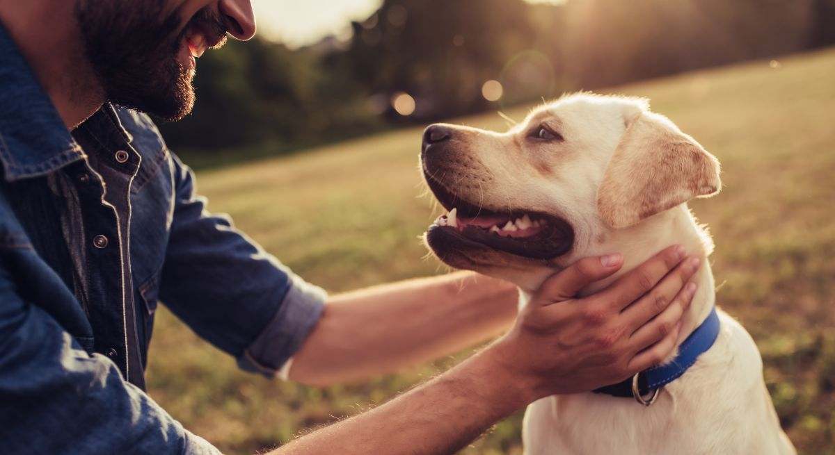 Experta en animales avisa a España y a todos los que tengan perros: "No sólo se trata de..."