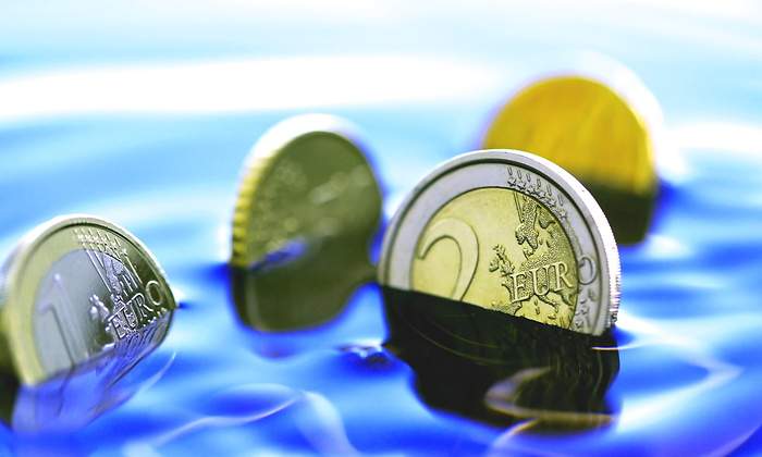 euro-hunde-agua.jpg