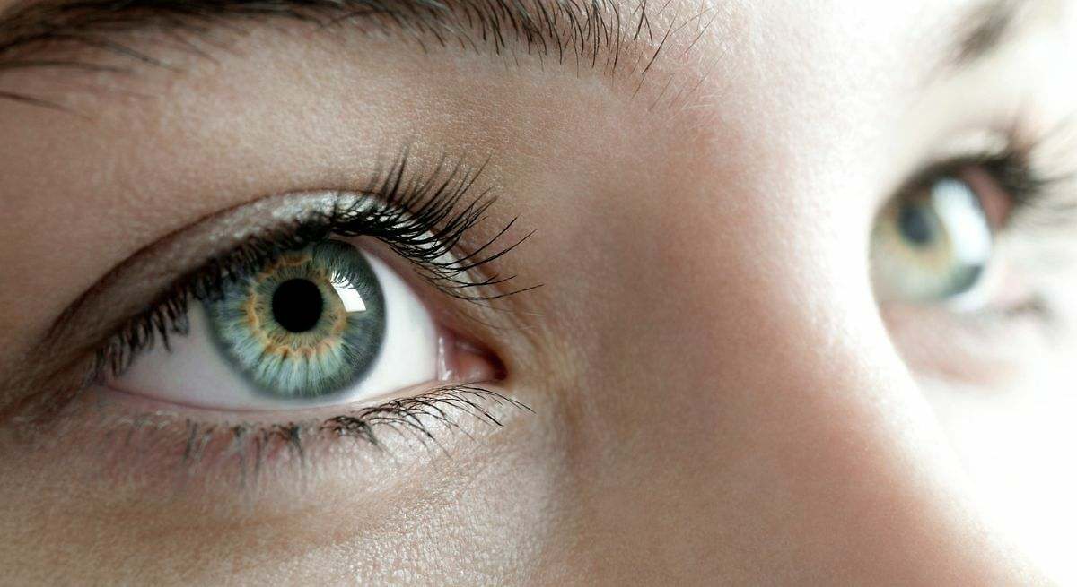 Este simple fruto seco es la clave para combatir la pérdida de visión relacionada con la edad, según oftalmólogos