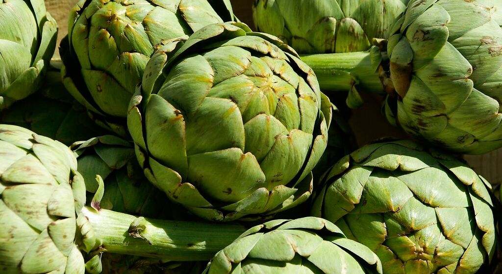 Alcachofa