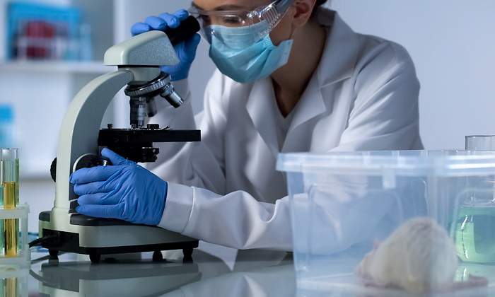 investigadora-cancer-recurso-dreamstime.jpg