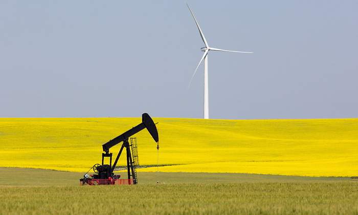 petroleo-colza-eeuu.jpg