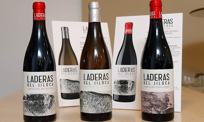 daroca bodega