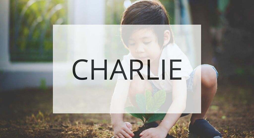 Charlie - hombre libre