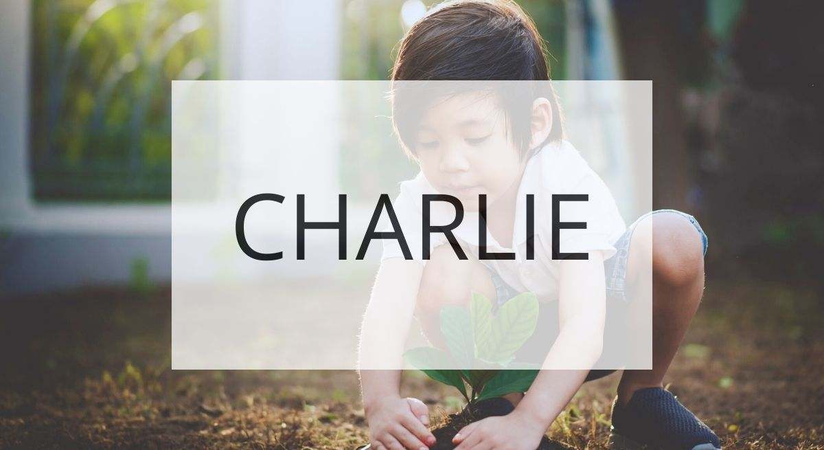 Charlie - hombre libre