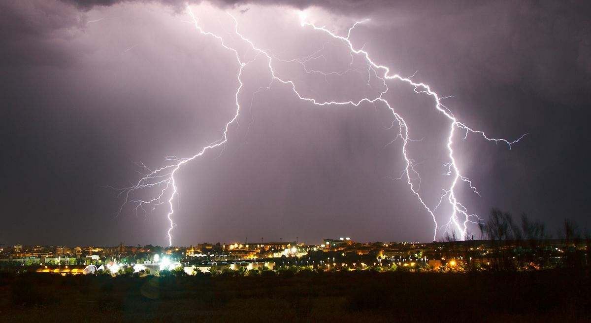 Los rayos destruyen 320 millones de árboles en el mundo cada año