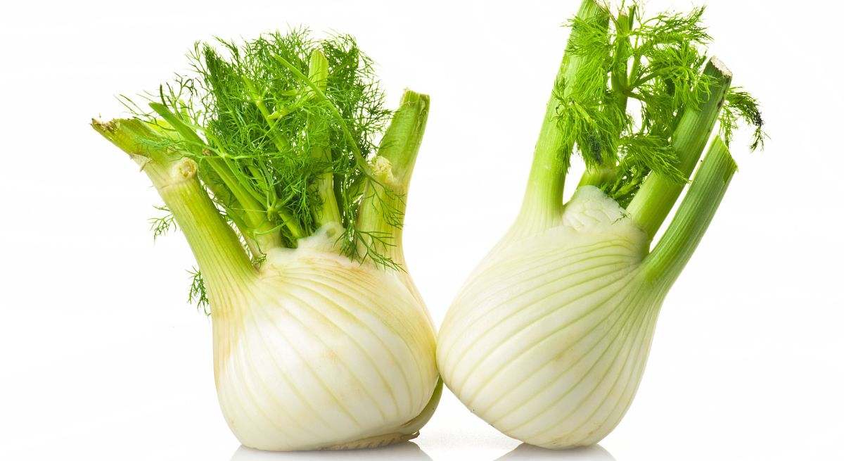 La planta que calma la ansiedad y ayuda a dormir como un bebé: estos son todos los beneficios respaldados por estudios