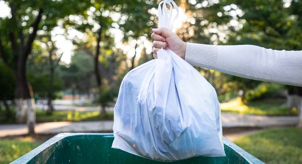 Adiós alimentos pasados