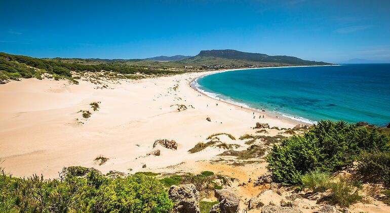 Las arenas de la playa Bolonia