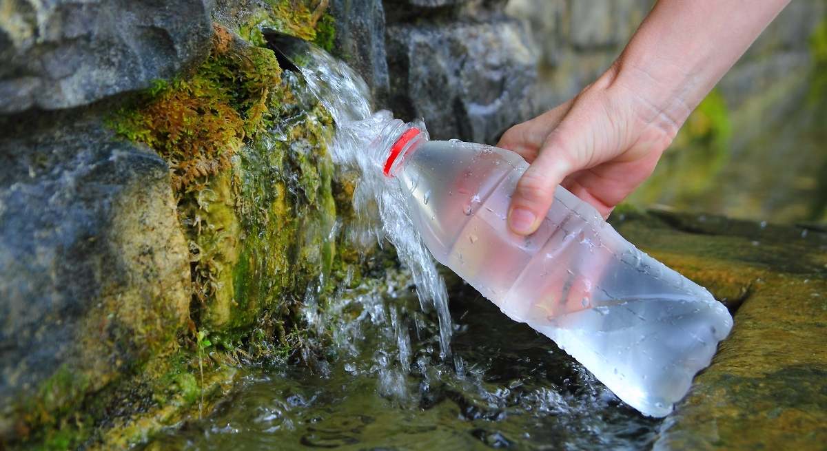 Introducir el bastoncillo y llenar la botella
