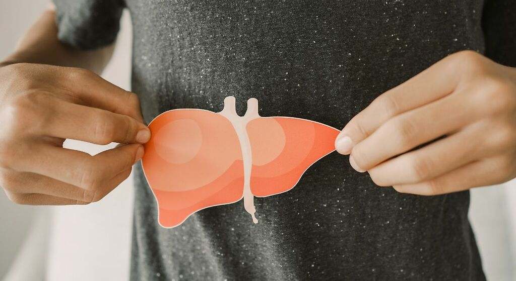 La planta medicinal que protege el hígado, mejora el aparato digestivo en verano y reduce todas las enfermedades respiratorias