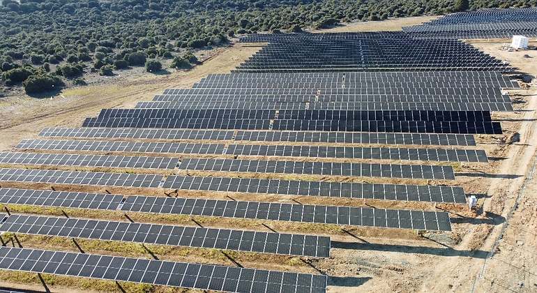 Paneles solares