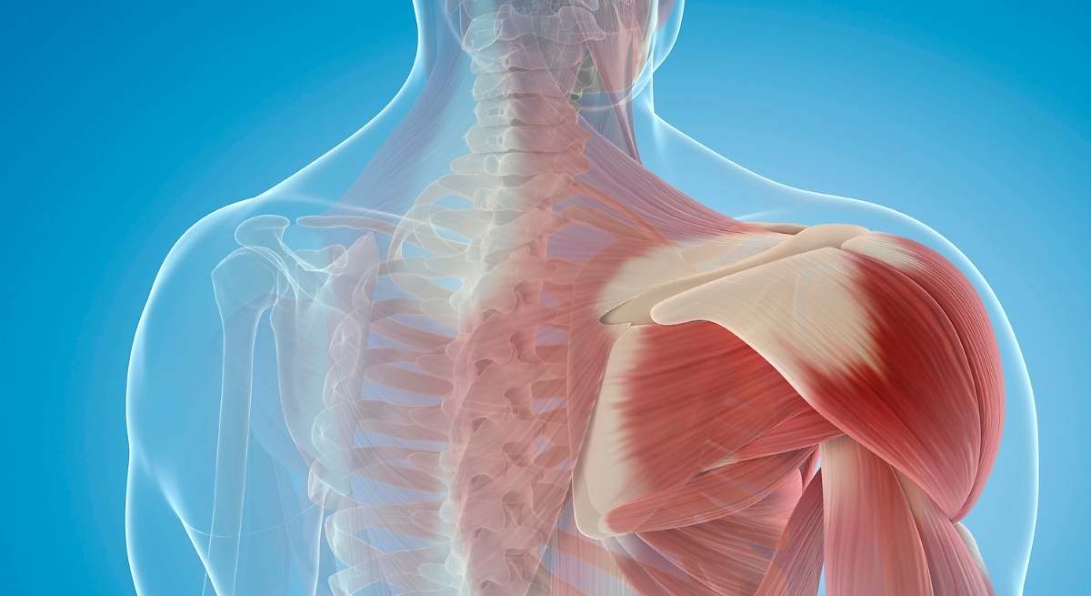 Enfermedades e infecciones