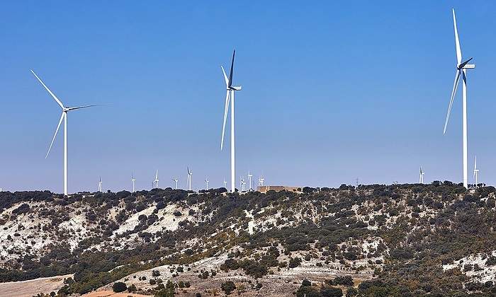 20211015_-Celada-Fusion-046.jpg