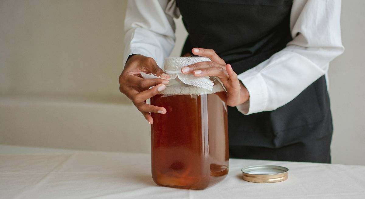 Kombucha