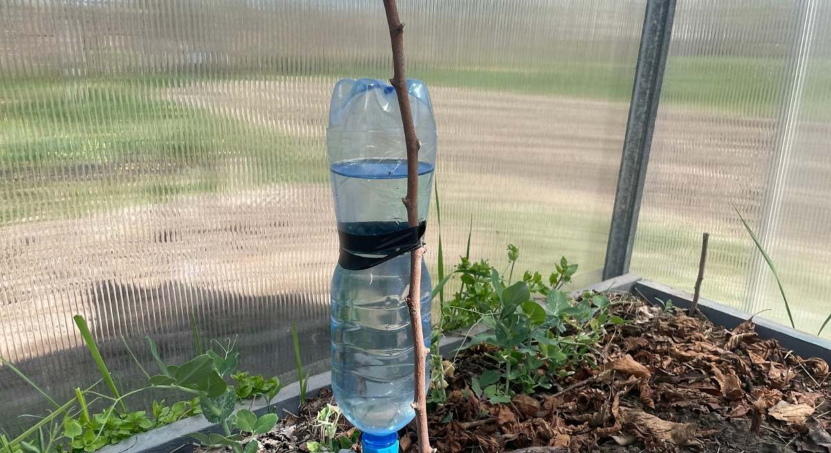 Poner la botella en la maceta