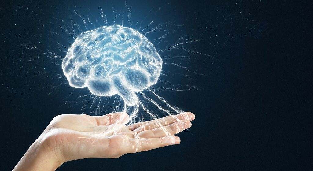 Puede reducir la placa cerebral