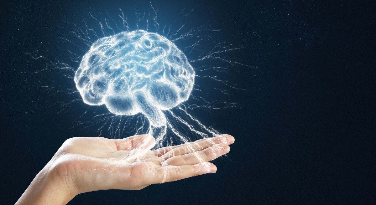 Puede reducir la placa cerebral