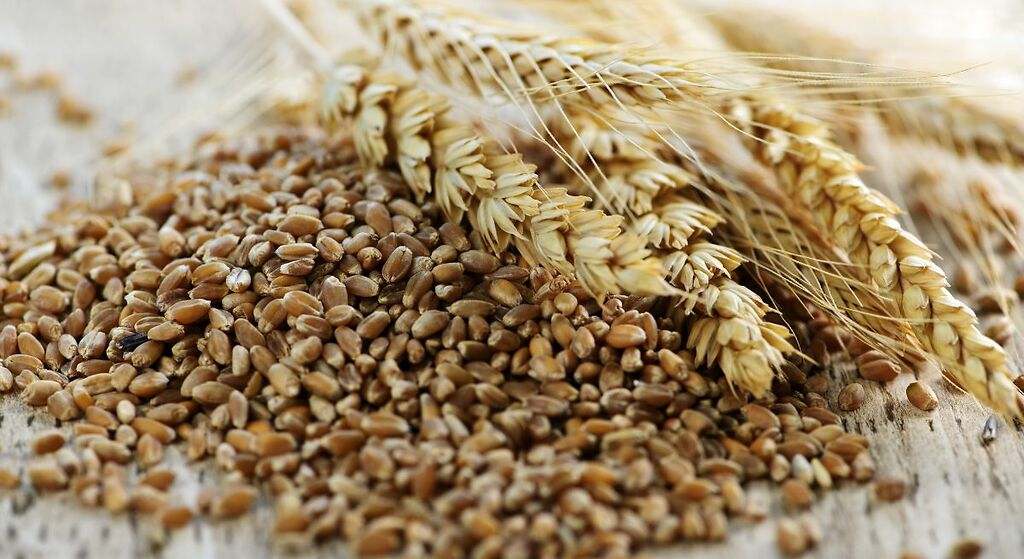 Comer cereales integrales