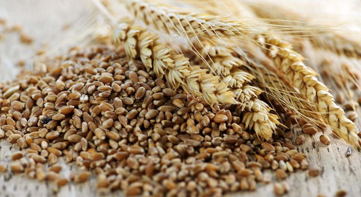 Comer cereales integrales