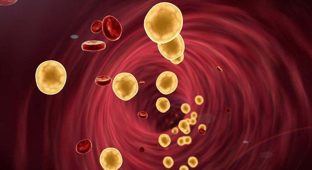 Reduce el colesterol LDL