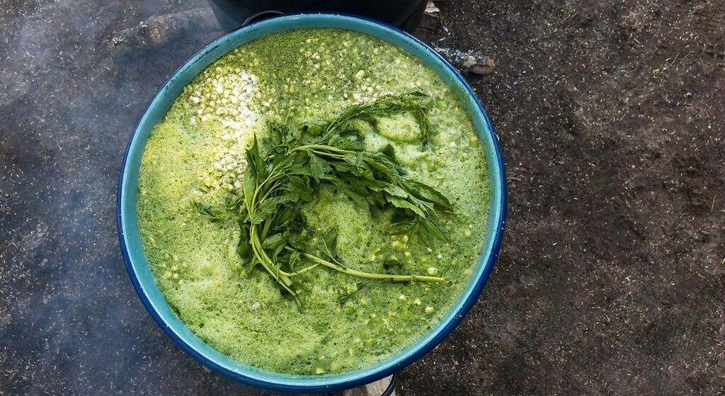 Pozolillo verde con maíz y epazote en el campo en México