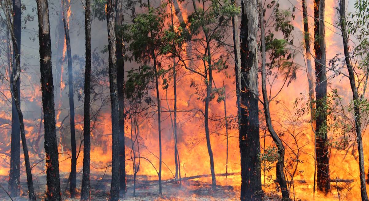 El Gobierno blinda la lucha contra los incendios con una normativa única para todas las CCAA que publica el BOE