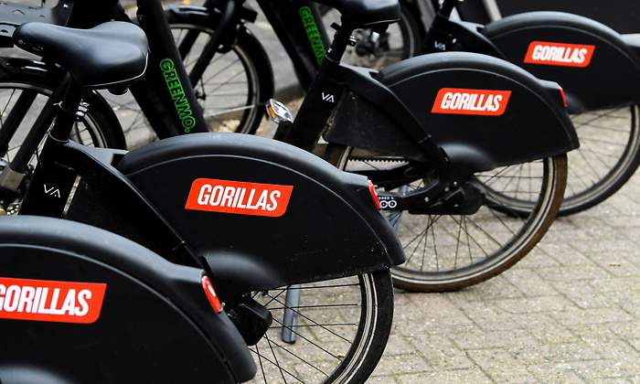 Gorillas