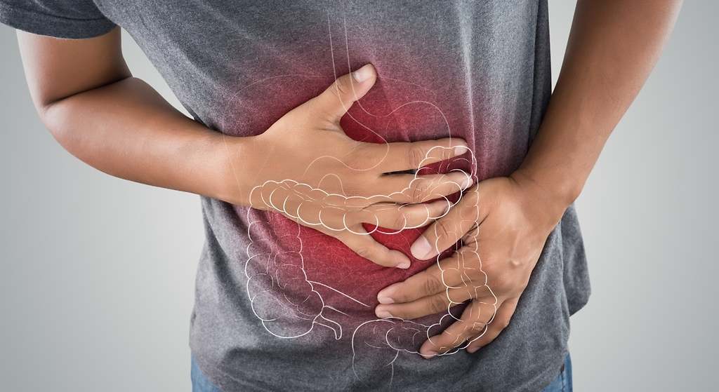 Microbios intestinales