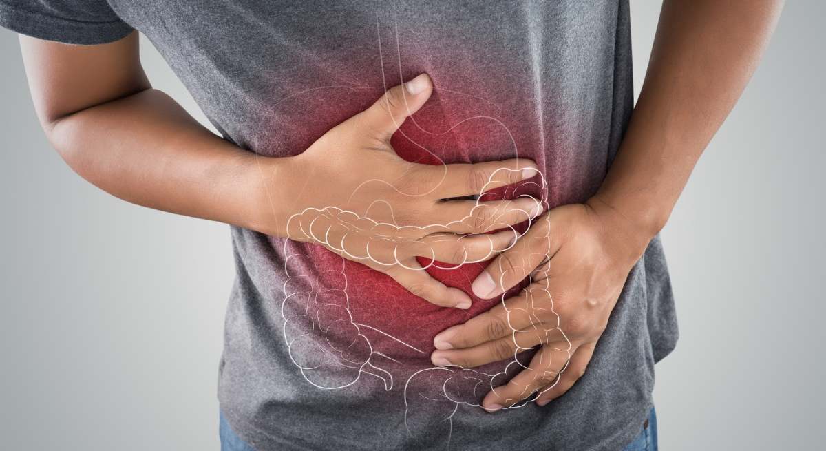 Microbios intestinales